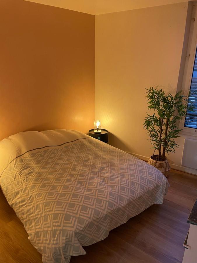 Appartement Complet Hyper Centre Auxerre Buitenkant foto